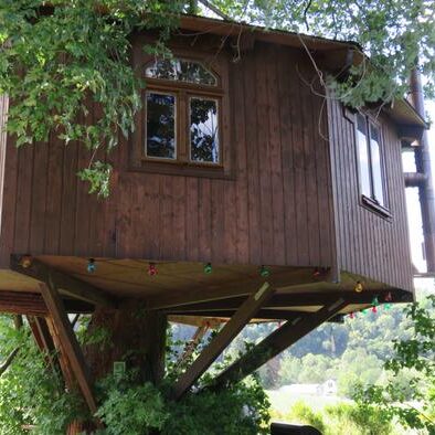 tree house costs